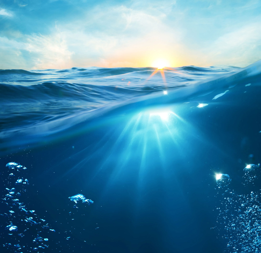 Splash_BG2-1024×992